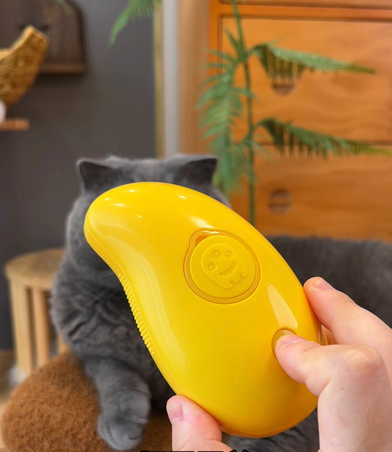 Viral cat comb blowing yellow steam, which surprises the cat in the woman's hand